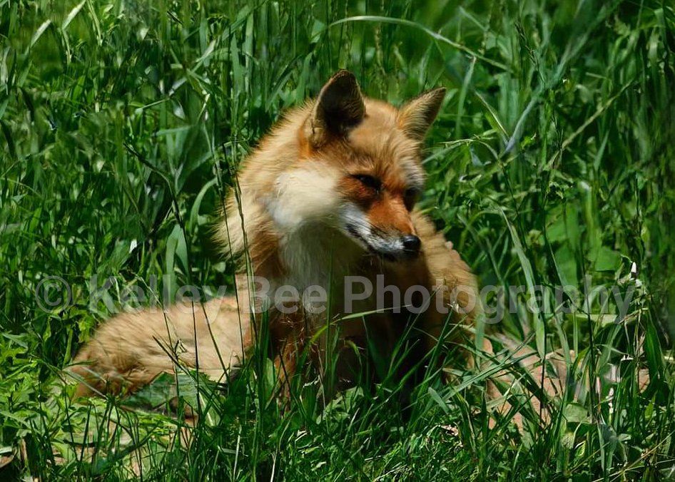 Fb Img 1720659778600 (1)