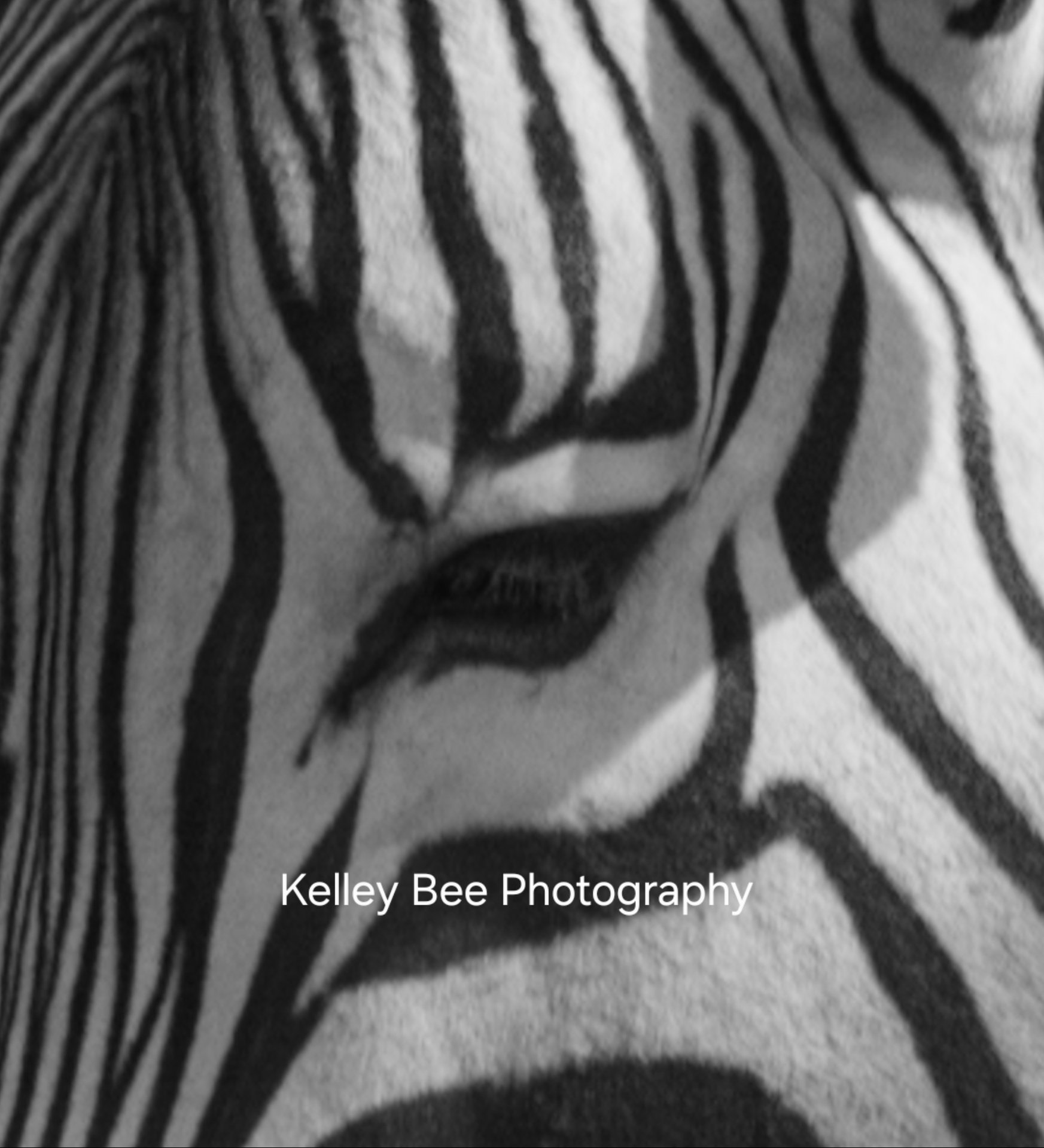 0683F2Ea3Cfb711Cef03C94749Fbcc75 V