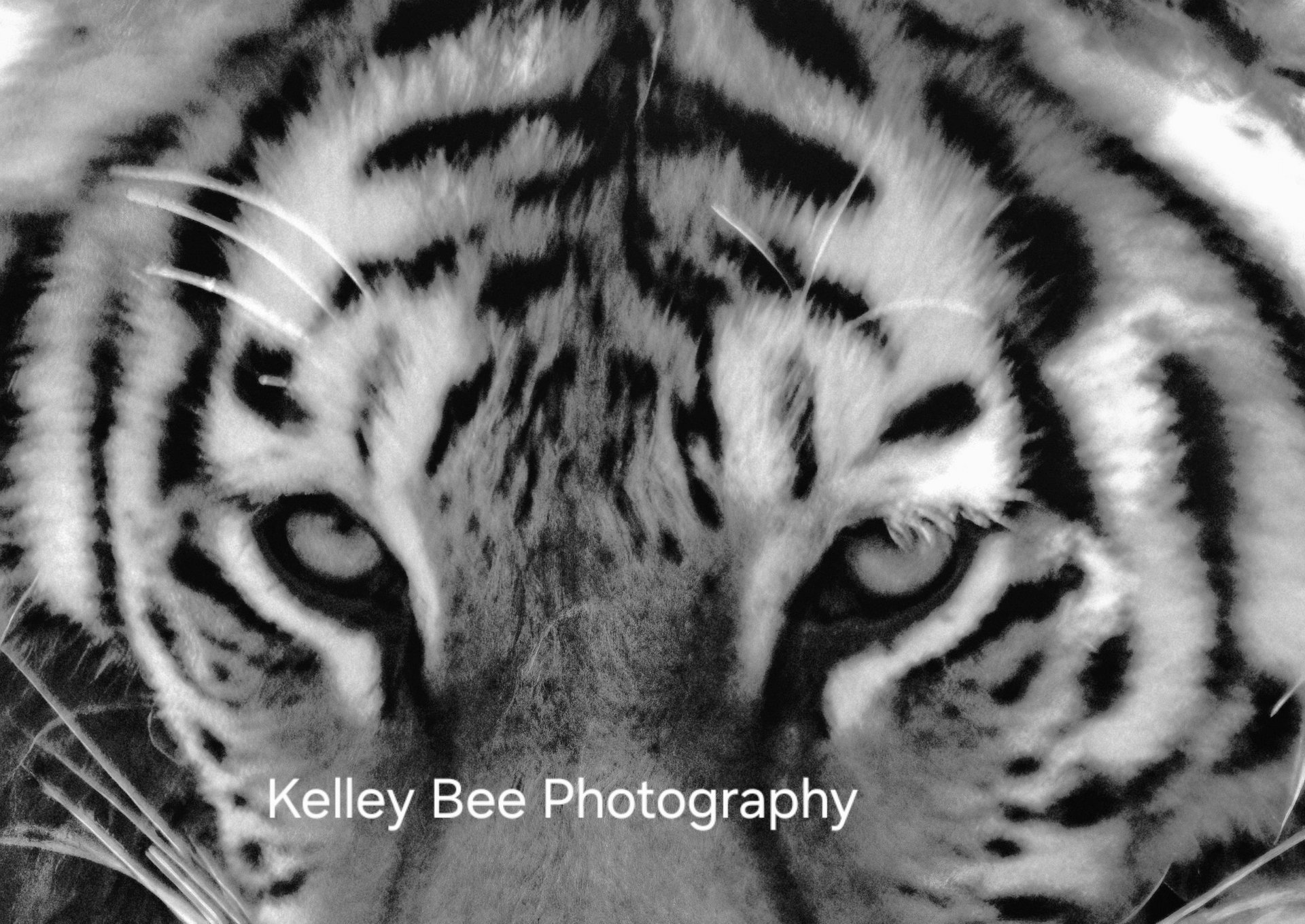 96C1B55733Da96F828Fb22F4Ddecca50 V