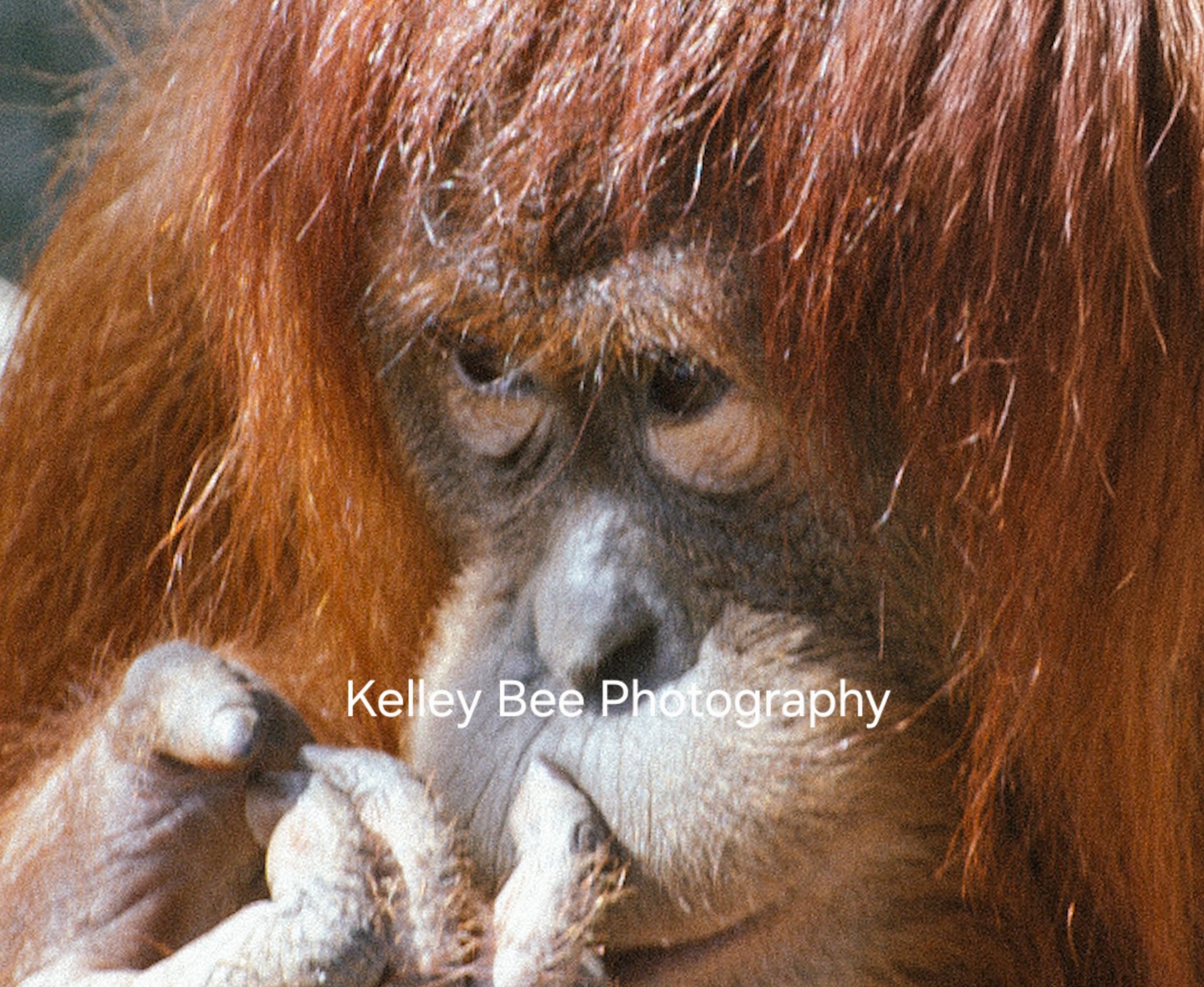 E8899Eb4716B53B17892Bcda0C9563B7 V