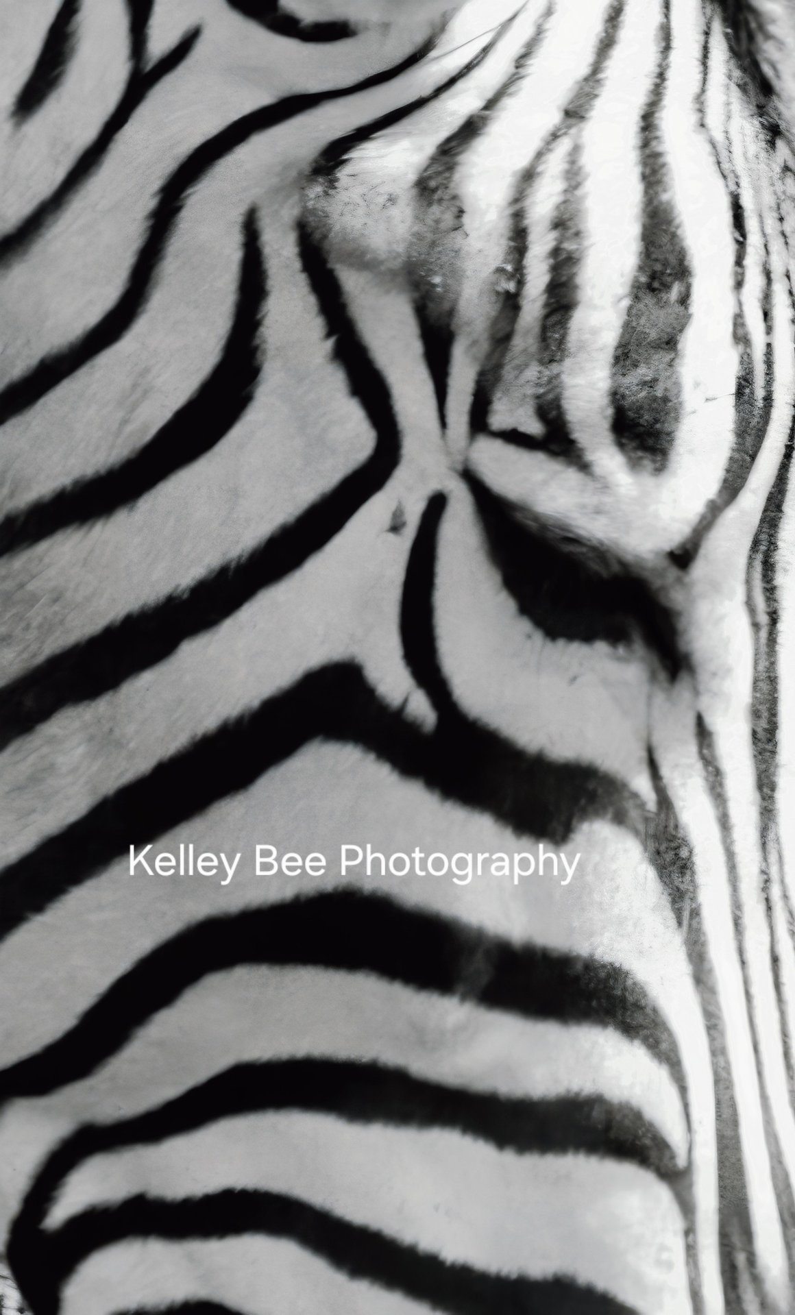 Image 20260323 083128 629 20